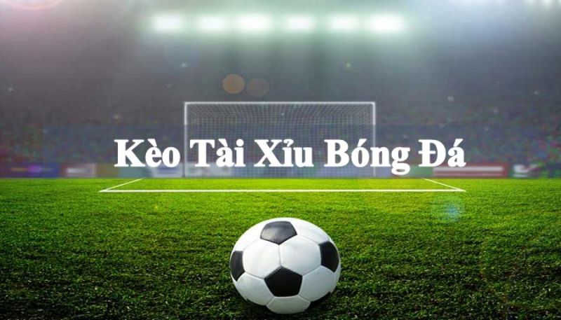 Cách đọc kèo bóng đá tài xỉu nhanh chóng, độ chính xác cao