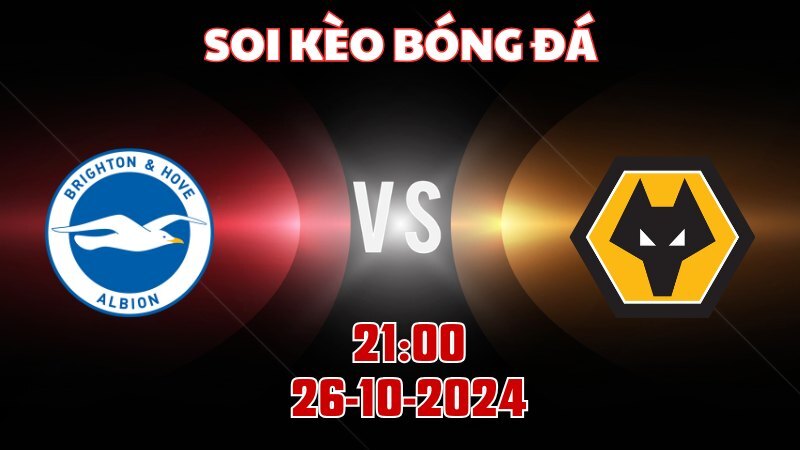 Brighton vs Wolves